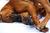 Benutzerbild von 2 wilde Racker
