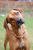 Benutzerbild von Bono2006