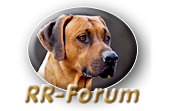 Rhodesian Ridgeback Forum - Powered by vBulletin