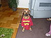 members/agon1-albums-mein-kleiner-picture15371-t-shirt-1.jpg