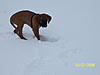 members/buddy8-albums-buddy-picture12689-a.jpg