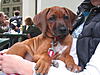members/chandu88-albums-eure-majestaet-picture10111-ein-kleiner-koenig-auf-seinem-persoenlichem-thron.jpg