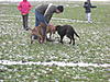members/hotti-albums-zeus-picture10638-a.jpg