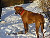 members/jurgstev-albums-bilder-im-schnee-picture10411-278.jpg