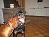 members/marcel-albums-odin-hat-besuch-picture11908-a.jpg