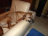 members/mireille-albums-dayo-und-ihre-kumpel-picture35060-dsc02801.jpg