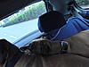 members/pooky-albums-fini-chuma-picture17462-kuscheln-im-auto.jpg