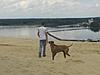 members/raudi-albums-unsere-hunde-picture9498-alleine-am-strand.jpg
