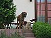 members/simba-und-lina-albums-bello-s-picture9492-rb8.jpg