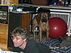 members/sonea-albums-zulu-picture9715-besuch-bei-micha-in-hannover.jpg