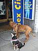 members/sunnymax-albums-urlaub-2010-picture13457-a.jpg