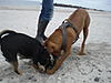 members/sunnymax-albums-urlaub-2010-picture13458-a.jpg