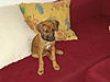 members/thomas-r-albums-pia-noch-ganz-klein-picture12474-dsc01935.jpg