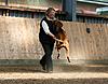 members/ute-bb-albums-nicht-nur-rr-picture9132-vipspezi011.jpg